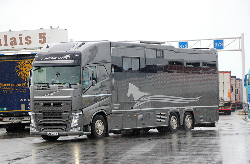 Anemone Volvo FH15 GLobeXL PFERDE Calais 2016 Tim IMG_4155 web.jpg