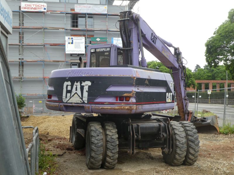 m 315 cat.jpg