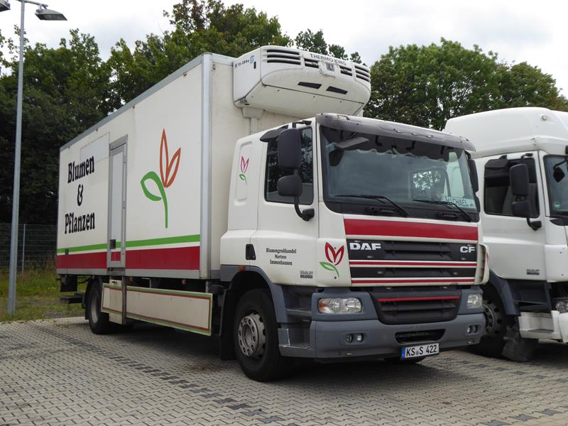 DAF CF 65.250 Blumen Martens 1 (Copy).jpg