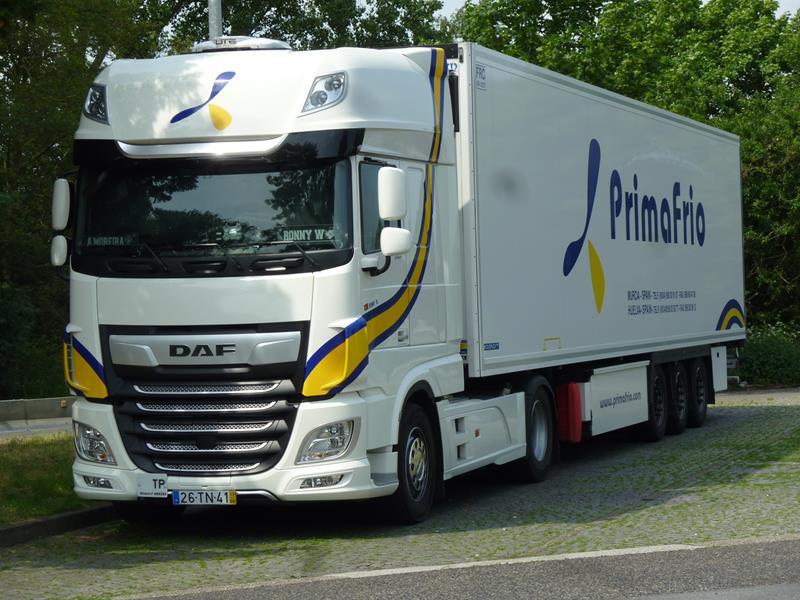 DAF XF 480 PrimaFrio 1 (Copy).jpg