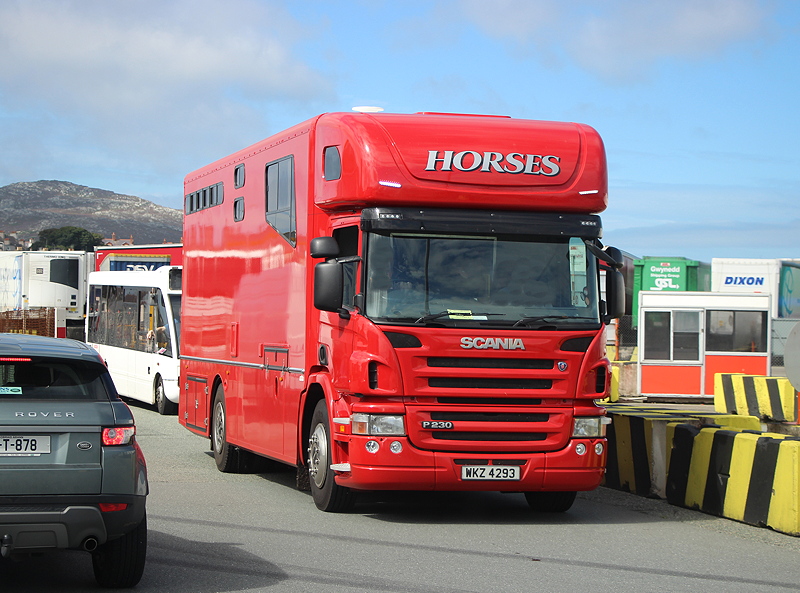 Horses Scania P Pferde Holyhead 2016 web b IMG_5859.jpg