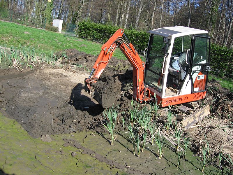 schaeff teich.jpg