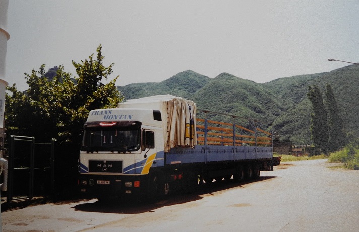 F90 19422 Transmontan_Turin_1993.jpg