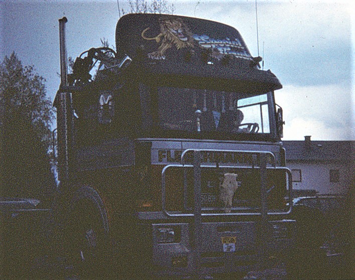 MAN F8 ÖAF 19.361_Fleischmann_BMB.jpg