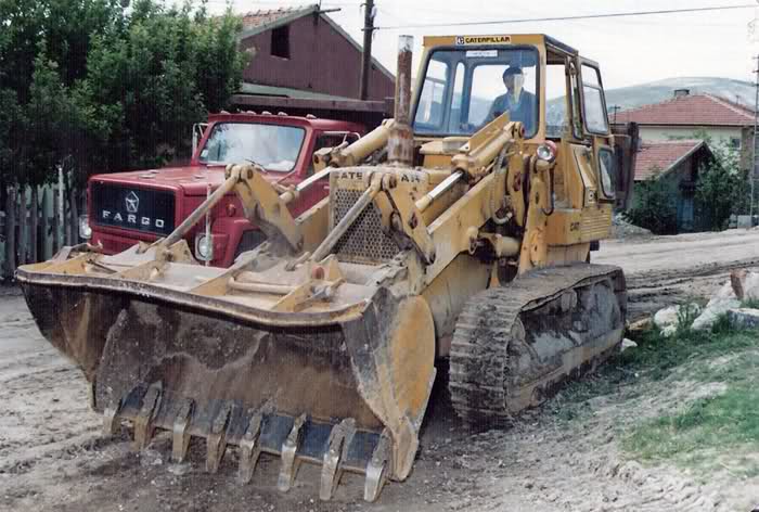 cat600-3.jpg