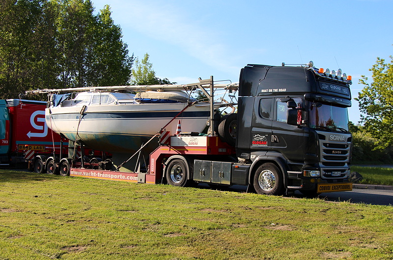 Glogau Scania R490 TL SL Tiefbett Schwarmstedt 2019 TIm IMG_4727 b.jpg