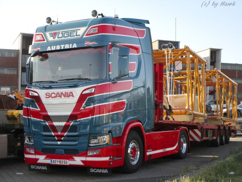 Scania S - V&ouml;gel (A).jpg