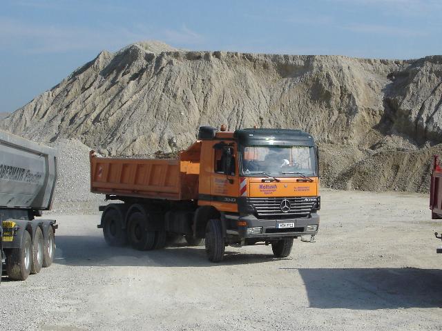pferde 608.jpg
