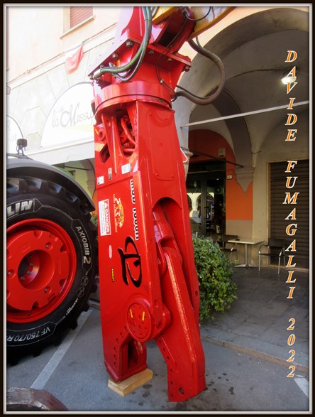 fiera Cortemaggiore 2022 (11).jpg