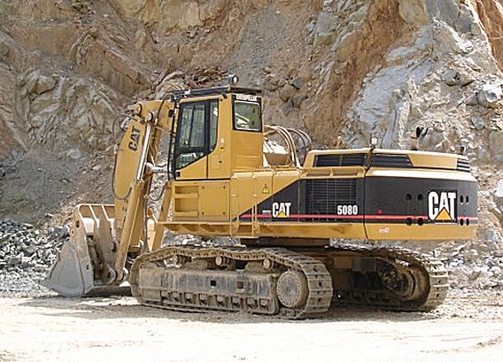 Cat-5080-BEARB.jpg
