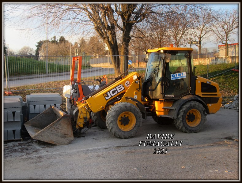 JCB TL220 Gini 001.jpg