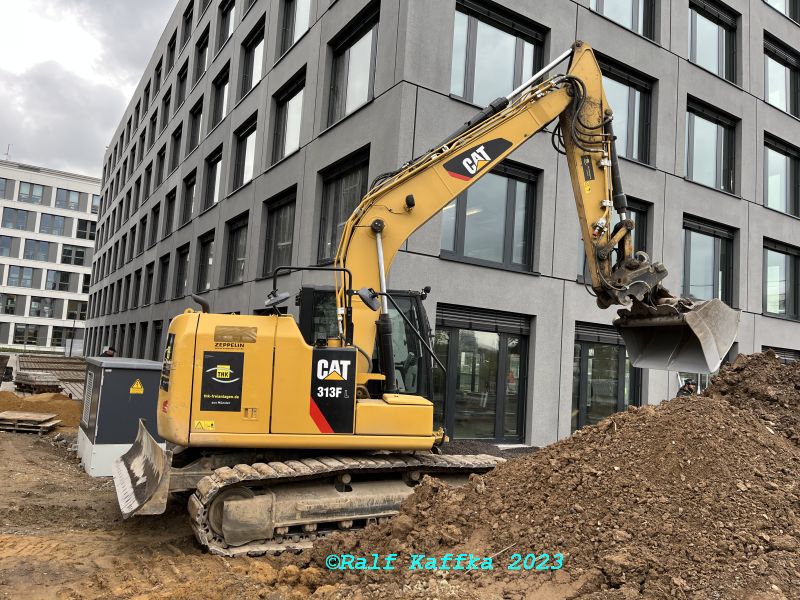 Cat 313F.jpg