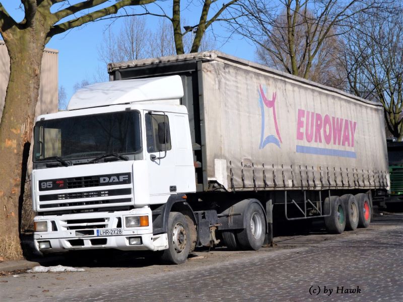 DAF 95.400 ATi (ex PL) (5)x.jpg