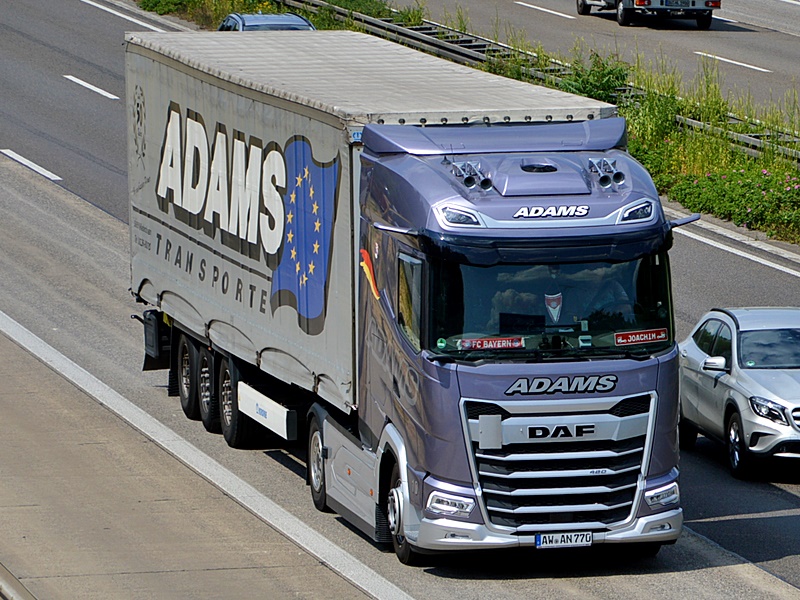 ADAMS 10 0220.jpg