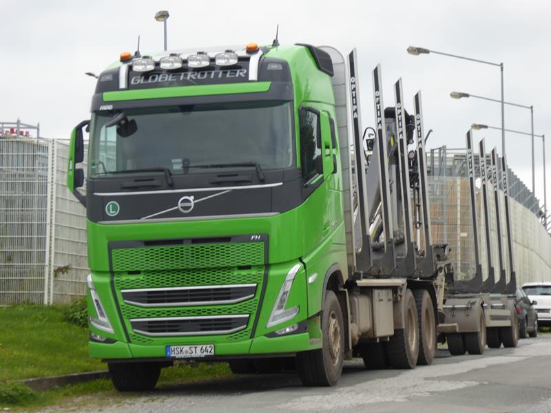 New Volvo FH 540 E6 Holzlaster Grün 1 (Copy).jpg