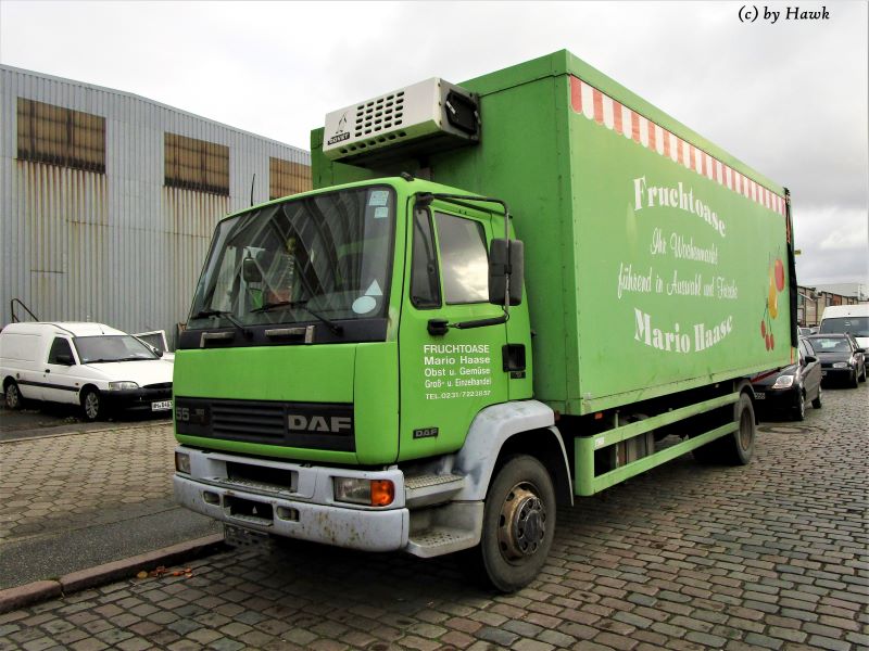 DAF 55.180 - ex Mario Haasex.jpg