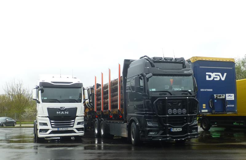 New MAN TGX 33.580 Holzlaster 1 (Copy).jpg