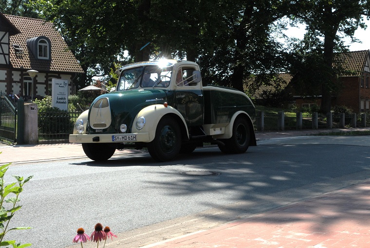 DSC_0802.jpg