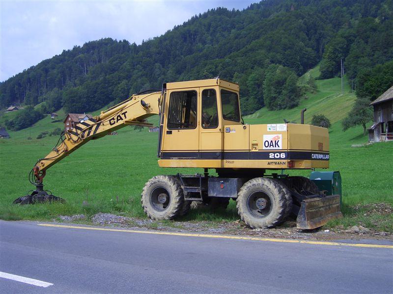 Cat 206.1.jpg