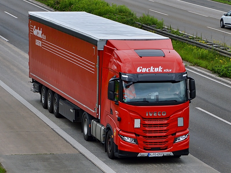 Guckuk, K-FG 4202 0136.jpg