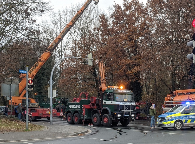 IMG_20241125_124947 (1).jpg