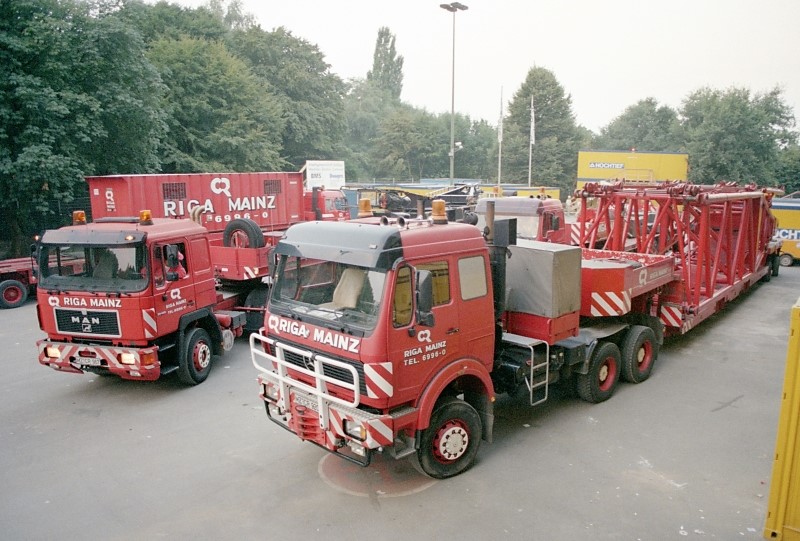 6586.jpg