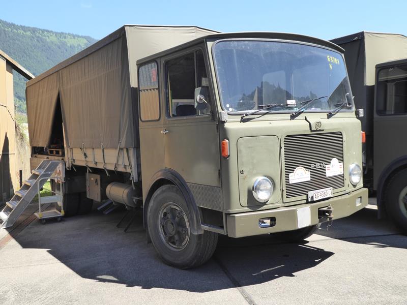 FBW Oliv 2 (Copy).jpg