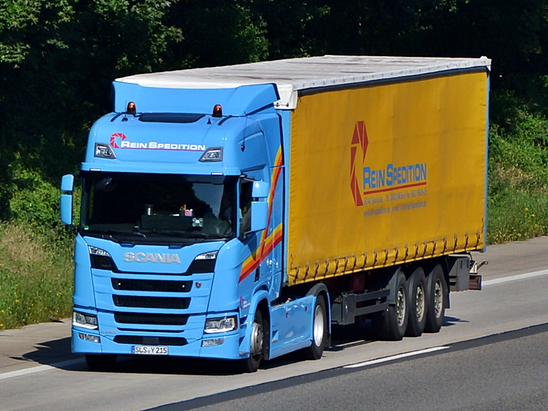 Rein, SLS-Y 215 0245.jpg