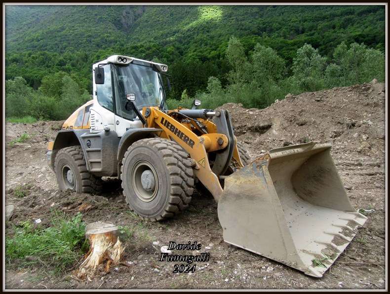 Liebherr L546 RMI (1).jpg