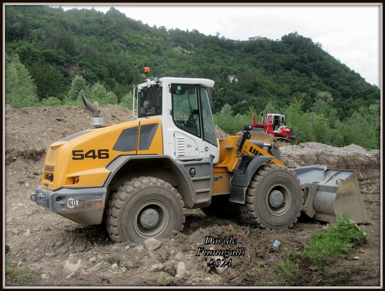 Liebherr L546 RMI (2).jpg