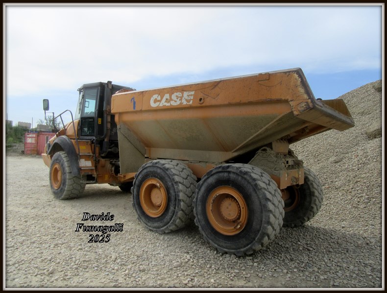 Case 330B Pesa (1).jpg
