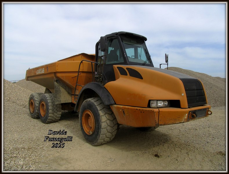 Case 330B Pesa (3).jpg