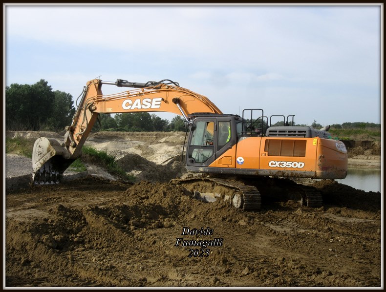 Case 350 Pesa (6).jpg