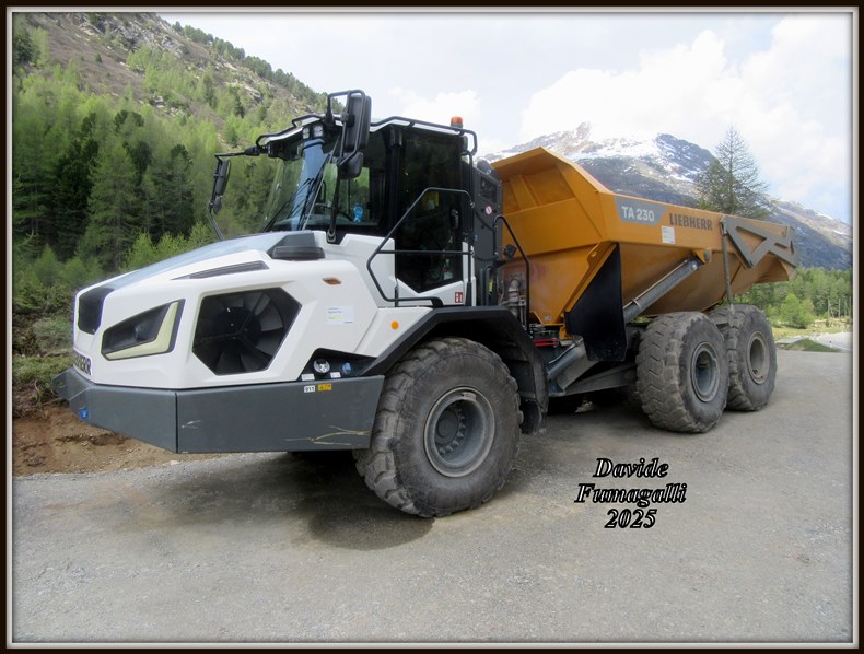 Liebherr TA230 008.jpg