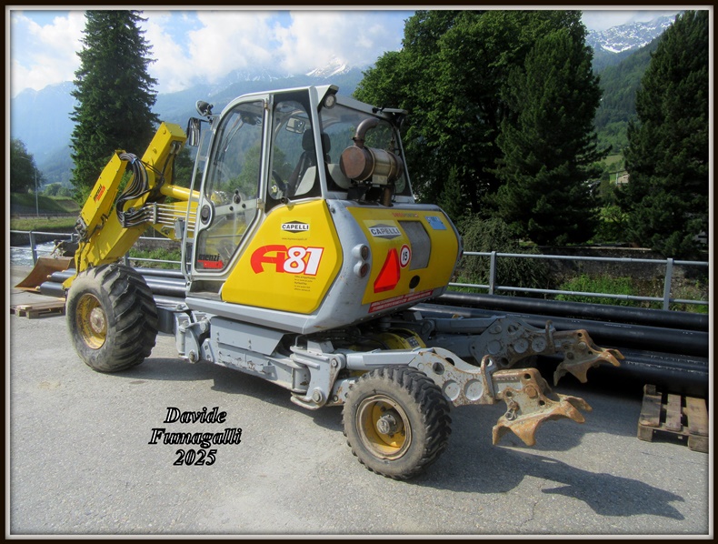 Menzi Muck 081 Capelli 002.jpg
