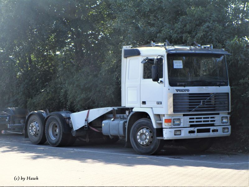 Volvo F 12x.jpg