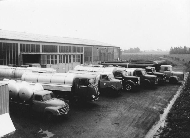 02_Z_01TRD_Schw_6-2-768x559.jpg