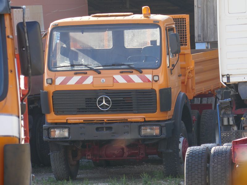 k-P1110358.jpg