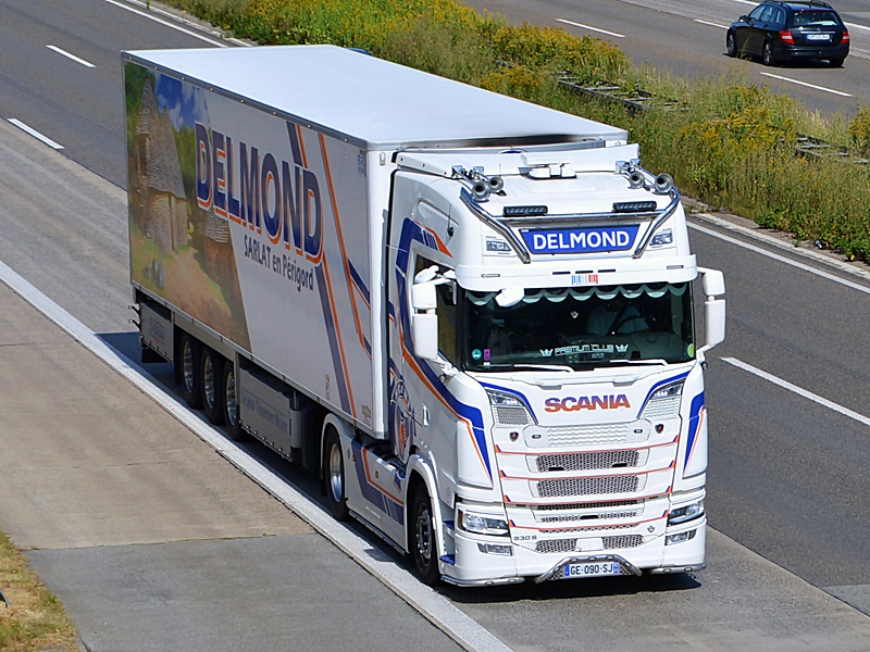 DELMOND, GE 090 SJ, F 0147.jpg