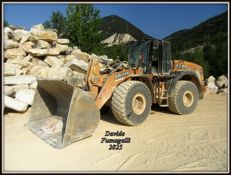 Case 1021F trasporto pietrame (4).jpg