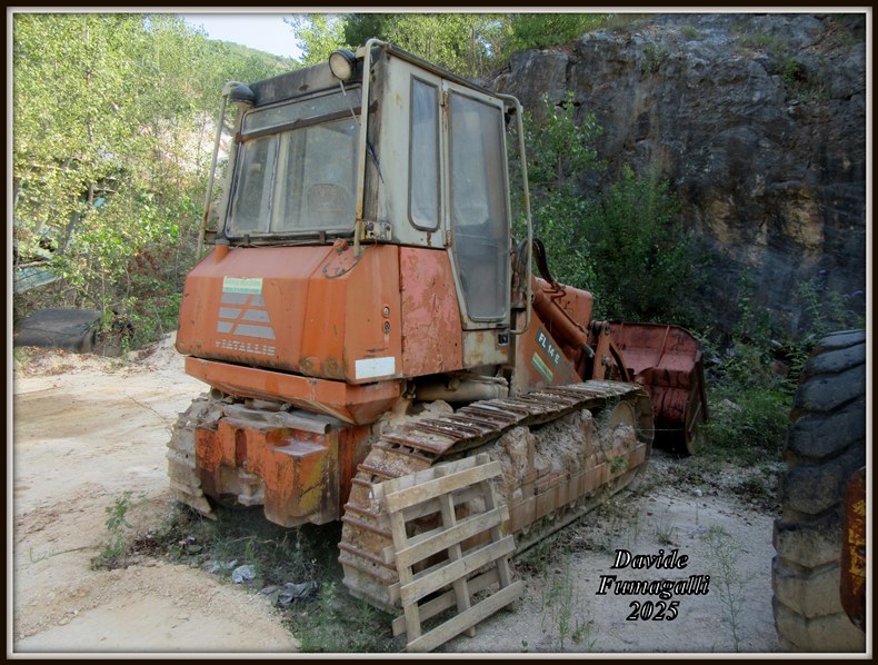 fiatallis FL14E (1).jpg