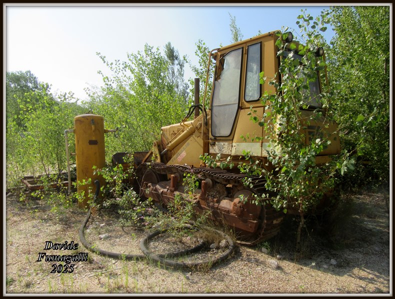 fiatallis FL14E (4).jpg