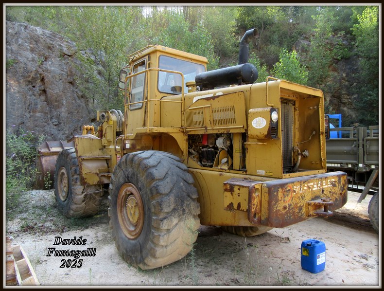 Fitallis FR20 (1).jpg