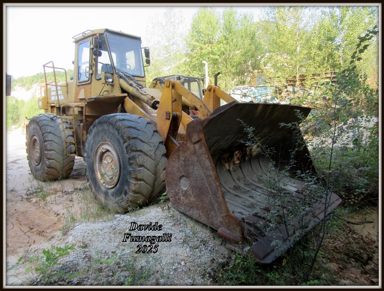 Fitallis FR20 (2).jpg