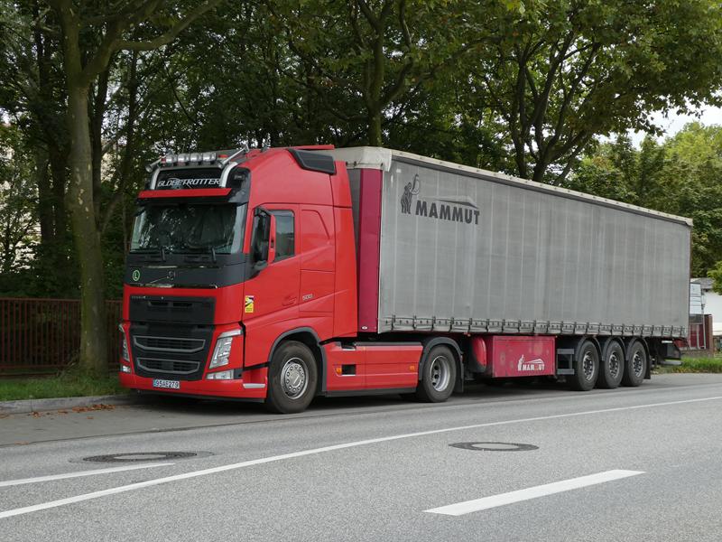 Volvo FH 500 E6 SZM Rot Iran 2 (Copy).jpg