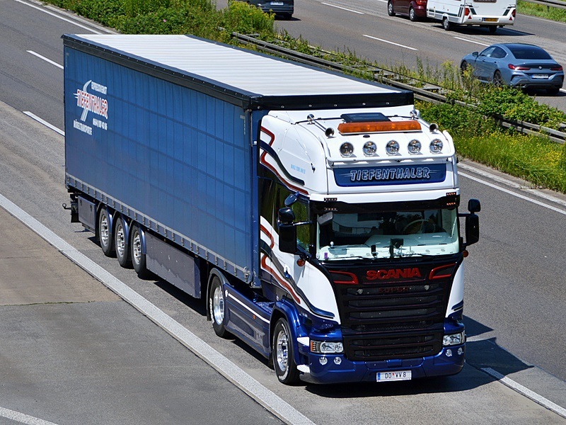 TIEFENTHALER, DO VV 8 0234.jpg