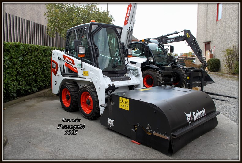 Bobcat minipale (2).jpg