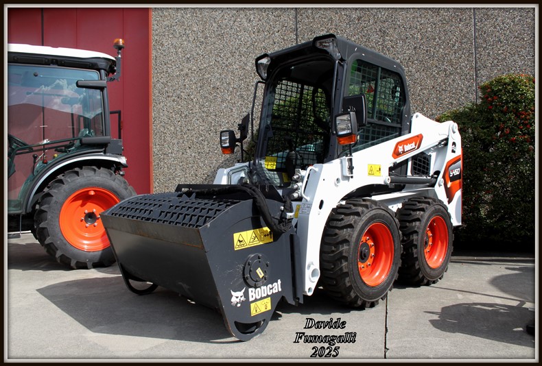 Bobcat minipale (4).jpg