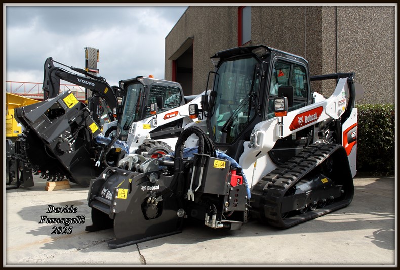 Bobcat minipale (6).jpg