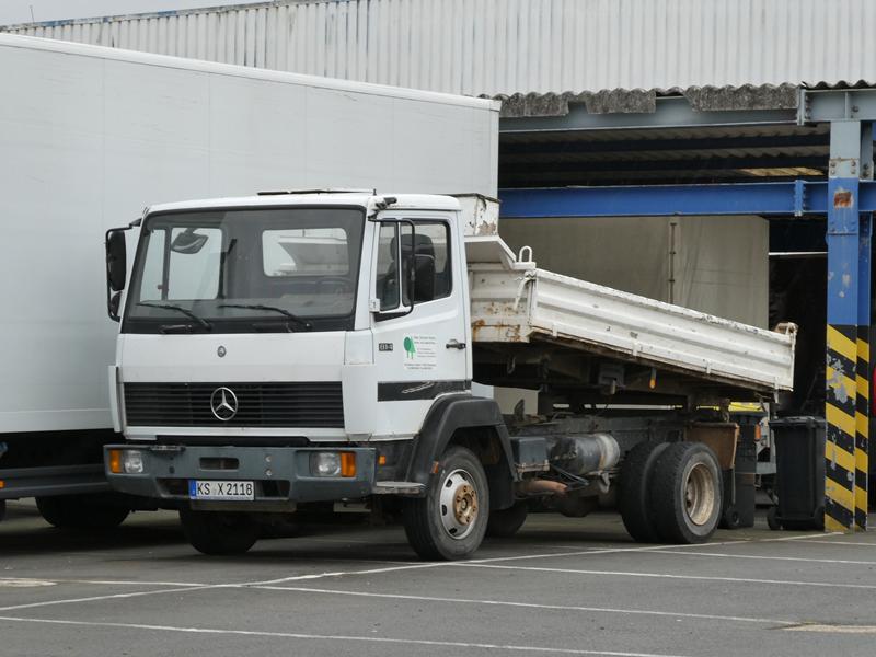 MB LN 814 Der Gr&uuml;ne H&uuml;ne 2 (Copy).jpg